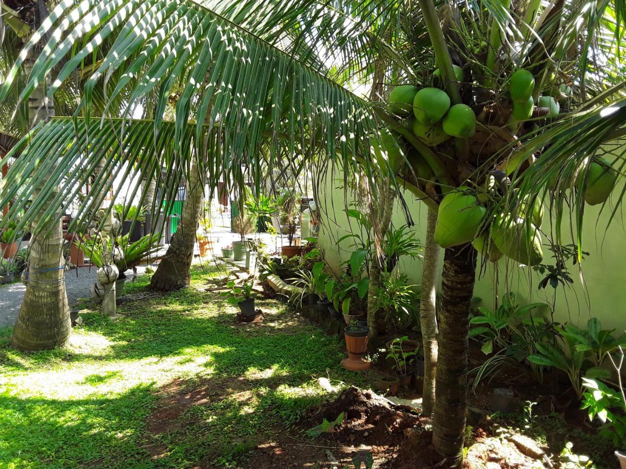 Karl Holiday Bungalow Kalutara Exterior foto